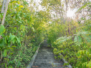 Beautiful nature and stairway to the top of koh lan island pattaya Thailand.Koh lan island is the Famous island near Pattaya city the Travel Destination in Thailand.