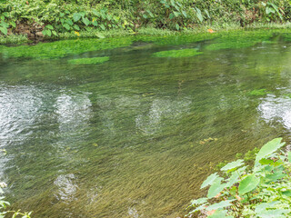 Beautiful Clear water in the Lake or river and environment in front of Tham Chang cave Vangvieng City Laos.Vangvieng City The famous holiday destination town in Lao.