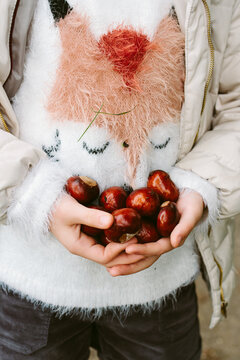 A foxy sweater and hands full of conkers. Autumn.