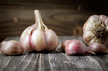 Fresh homemade garlic on a dark wooden background. Copy space for text or description.