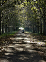 Enjoy the beautiful nature in the Netherlands, Zeeland, Renesse