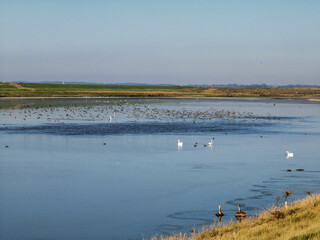 Enjoy the beautiful nature in the Netherlands, Zeeland, Renesse