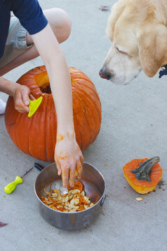 series of boy carving halloween pumpkin