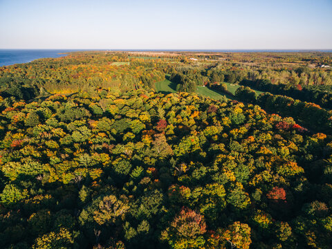 Drone image of changing trees