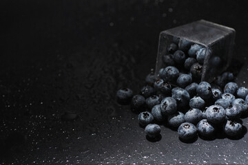 Water drops on ripe sweet blueberry. Fresh blueberries background with copy space for your text. Vegan and vegetarian concept. Macro texture of blueberry berries.