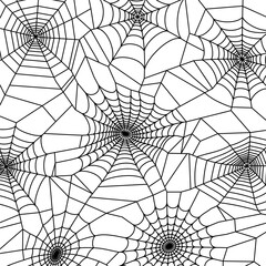Obraz premium Spider web concept