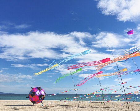 Kites in the wind
