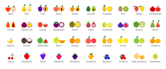 Vector set of colorful Fruits and Berries icons. Isolated illustrations on white background