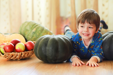 Fototapeta premium Little child choose a pumpkin at autumn. Child sitting on giant pumpkin. Pumpkin is traditional vegetable used on American holidays - Halloween and Thanksgiving Day.