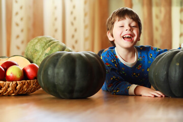Fototapeta premium Little child choose a pumpkin at autumn. Child sitting on giant pumpkin. Pumpkin is traditional vegetable used on American holidays - Halloween and Thanksgiving Day.