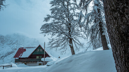 Trekking after a snowfall in the Julian Alps, Friuli-Venezia Giulia, Italy