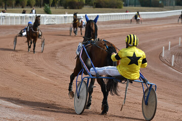 course de chevaux en sulky