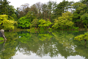 Fototapeta na wymiar 日本庭園風景
