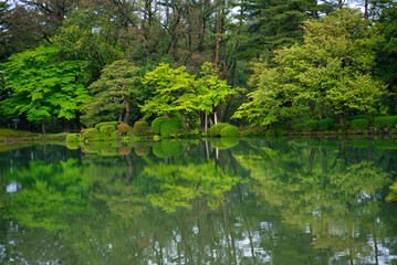 日本庭園風景