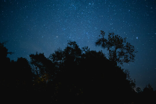 Night at Khaoyai National Park