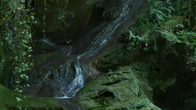 Water cascade along rocks rich in moss and vegetation, pure watercourse surrounded by nature, zen background video