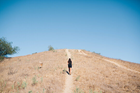 A girl walking her dog up a grassy hill in the hot souther Californian summer