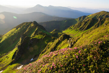 Eastern Carpathians in summer