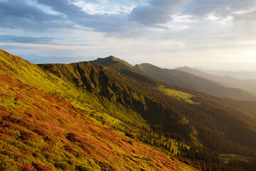 Eastern Carpathians in summer