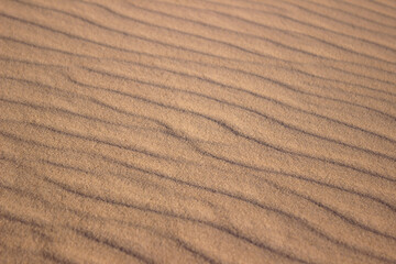The largest desert in Europe, Ukraine - Oleshky Sands (Oleshkivsʹki pisky). Waves in the sand, beautiful ripples of sand, background