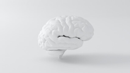 Human brain white with shadow anatomical Model 3d illustration