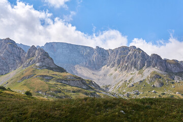 Naklejka na ściany i meble alpine meadow with a high mountain range in the background