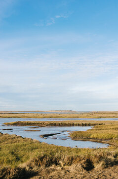 Low tide salt marsh at Burnham Overy Staithe, Norfolk, UK.