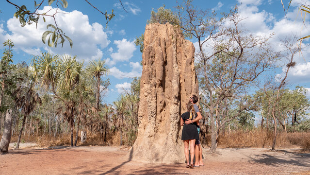 Couple looking at Termite mound in national park
