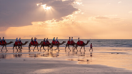 Camel ride during sunset at the beach in Broome Australia