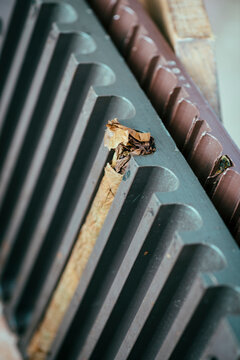Close-up of cigar