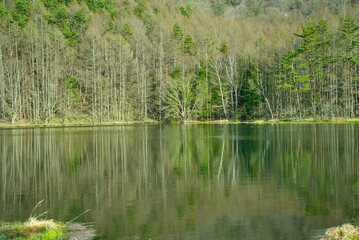 湖と鏡面反射
