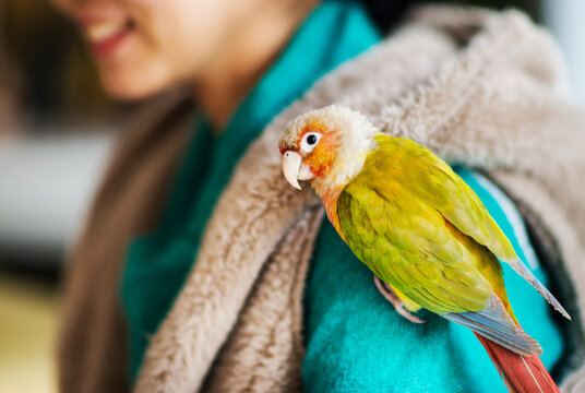 Attractive young Asian woman tenderly feeding pet parrot perched on hand