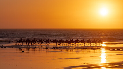 Camel ride during sunset at the beach with orange light in Broome Australia