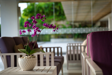 リゾートホテルのラウンジ