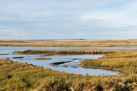 Low tide salt marsh at Burnham Overy Staithe, Norfolk, UK.