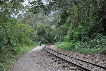 Fototapeta premium Railroad tracks in the jungle near Aguas Calientes, the gateway to Machu Picchu, with a hiker in the distance