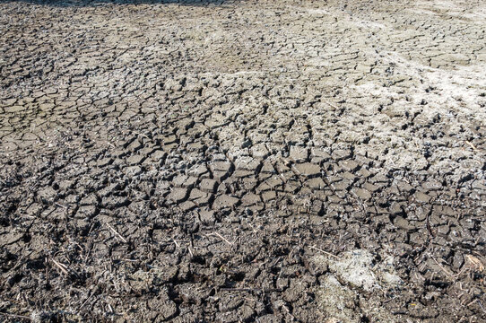 Dry cracked grounf