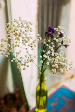 Beautiful flower indoors