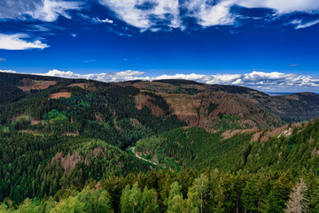 Naklejka premium Okertal Harzpanorama