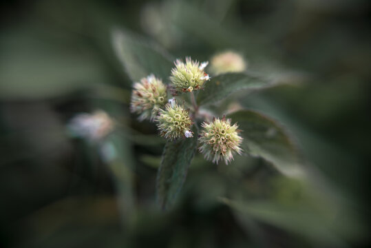 Shoots during Trekking in the south American Andes