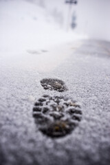 huellas en la nieve