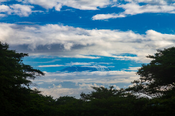 Fototapeta na wymiar Blick am Morgen von der Arumeru River Lodge in Usa River zum Gipfel des Kilimanjaro in den Wolken
