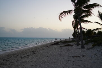 夕方のカリブ海のビーチ