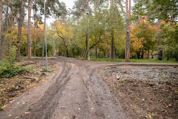 Fototapeta premium The process of reconstruction of the city park, work on the walking path