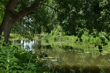 Park with a river in the city