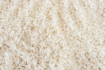 White rice background and texture. Rice grain. View from above. Close-up. macro