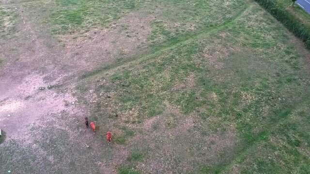 flying over a field with horses on it, in France, Cluny.