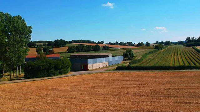 Fast forward moving shot of a  wheat a field, near Taize village in France. moving forward to a warehouse.