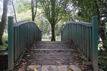 wooden bridge in the park
