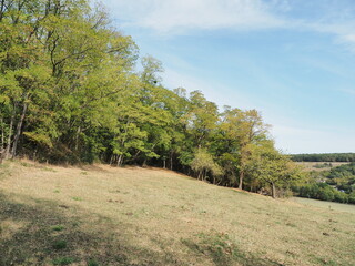 Naturschutzgebiet - Hangflächen bei Gräfinthal